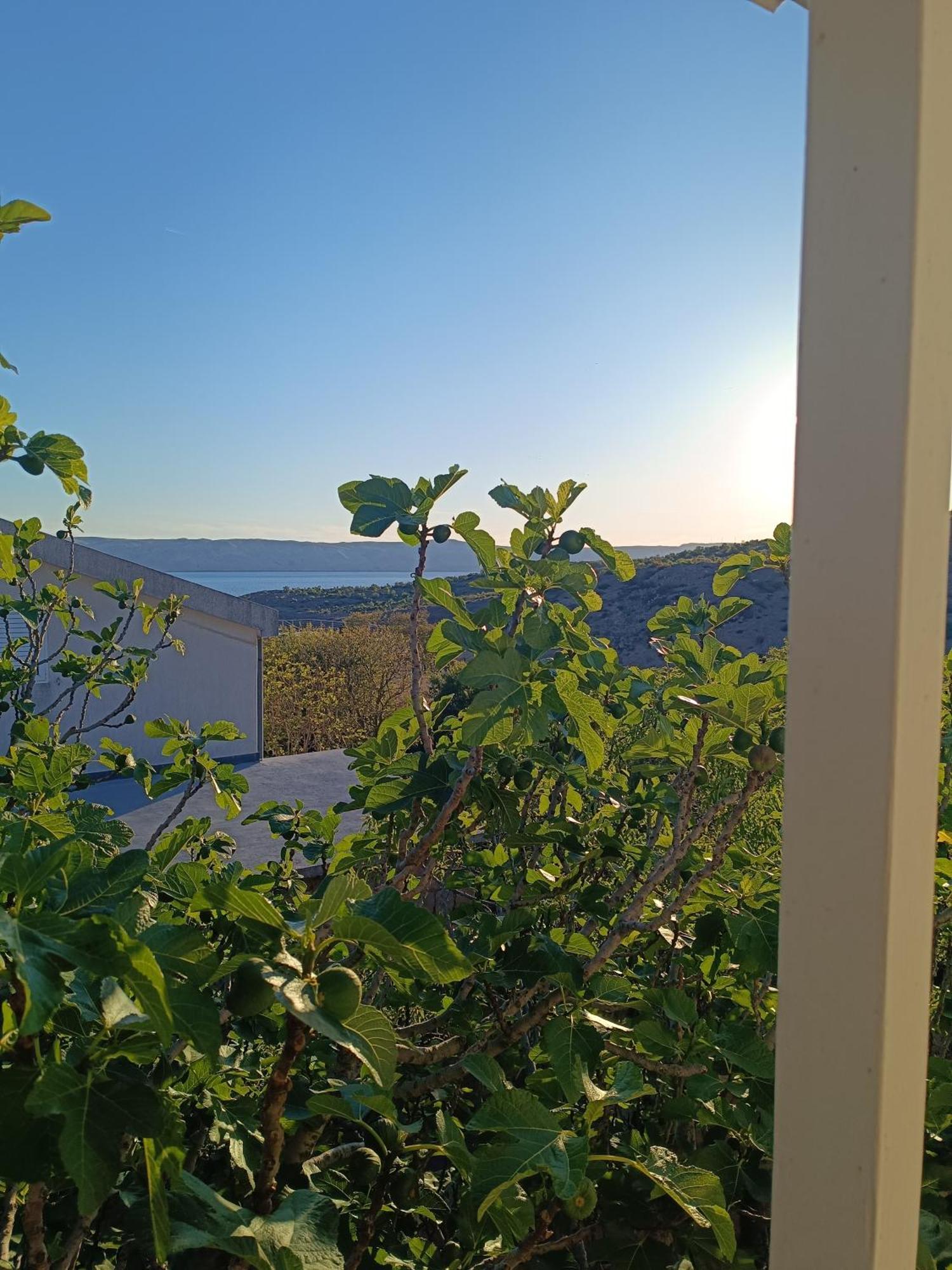 Villa Alexa Cesarica Exterior foto